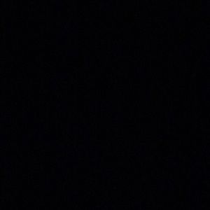 Meet your Posher, Lena